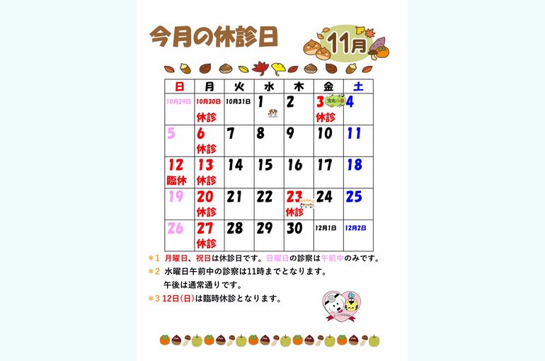 11月休診日