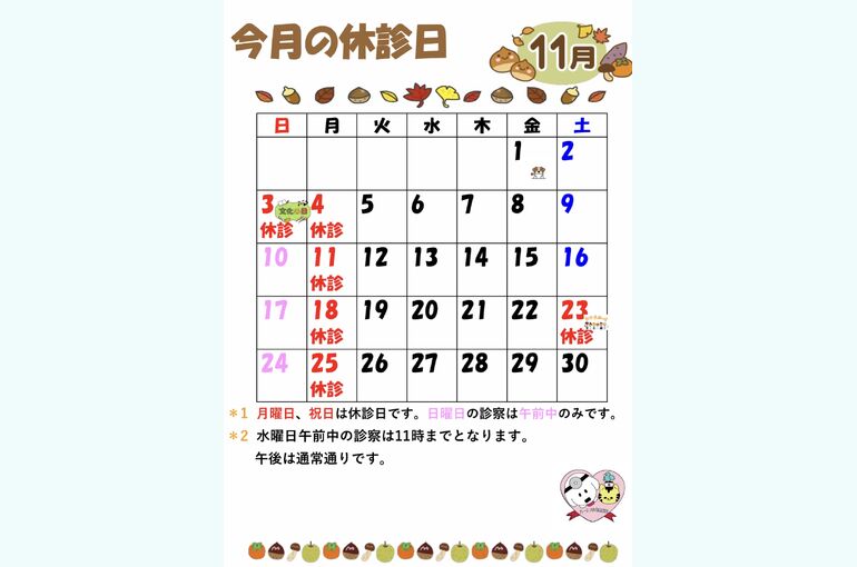 11月