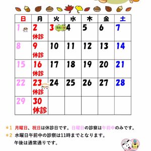 11月掲載用