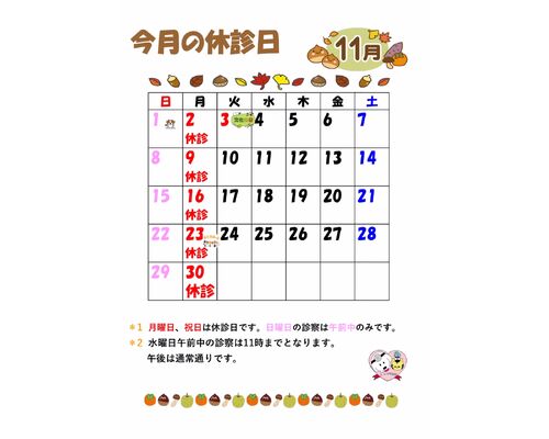 11月掲載用